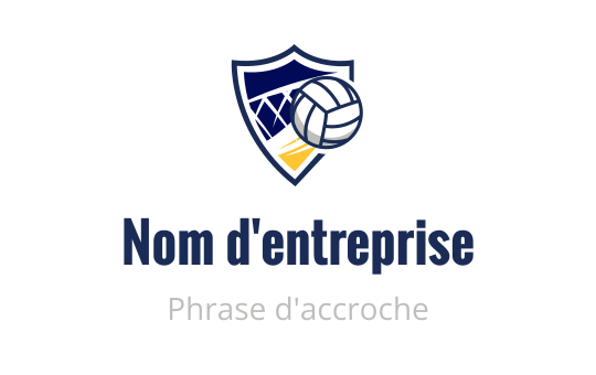 Volleyball logo