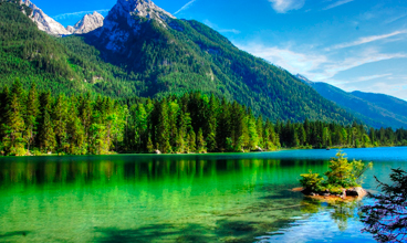 La nature